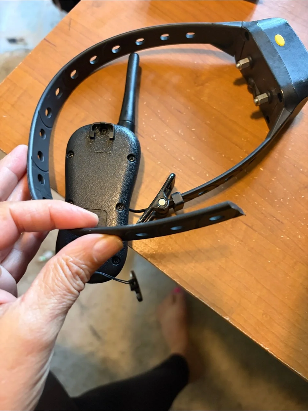 Black Remote Training Collar with Receiver - Black